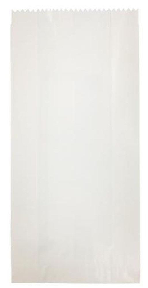 SATCHEL 2 GLASSINE BAG - 245mm x 115mm